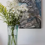 أمايا سليكشن أو فيلاز فيلة أويا