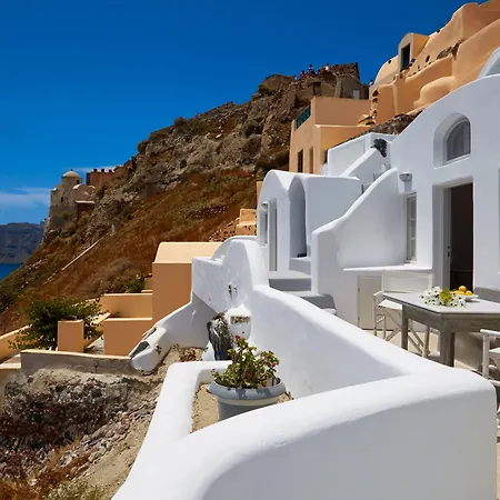 أمايا سليكشن أو فيلاز