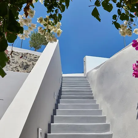 Amaya Selection Of Villa *